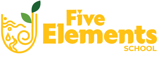 Five elements International Schools
